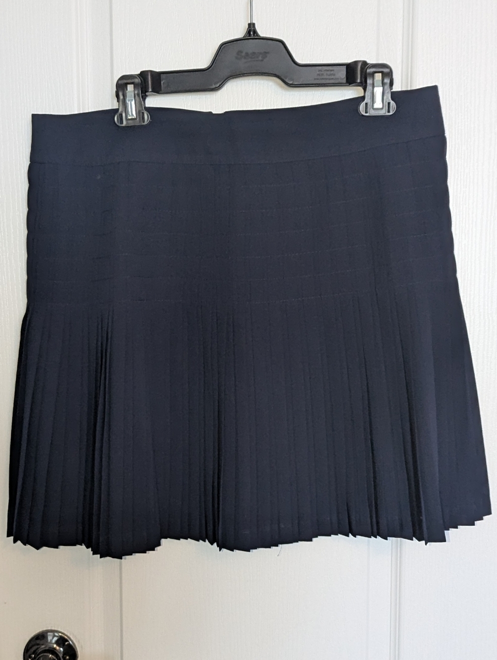 J. Crew Navy Pleated Mini Skirt